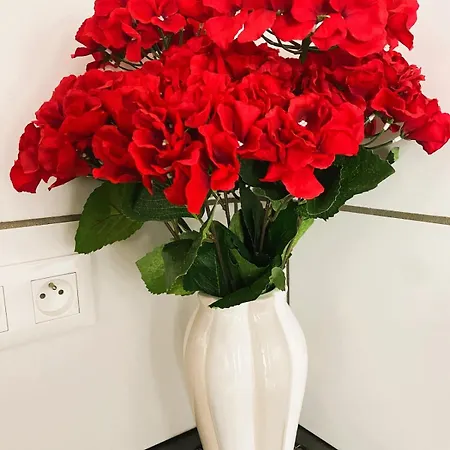 Spacious Home-style Lejlighed