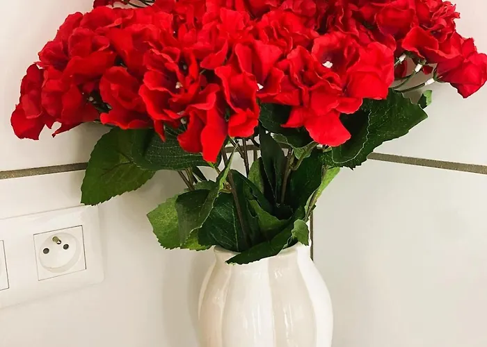 Spacious Home-style Lägenhet